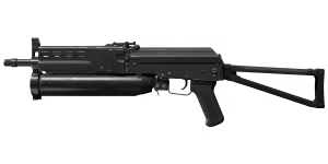 Bizon